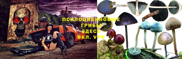 ALPHA-PVP Строитель