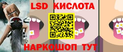прущие грибы Обь