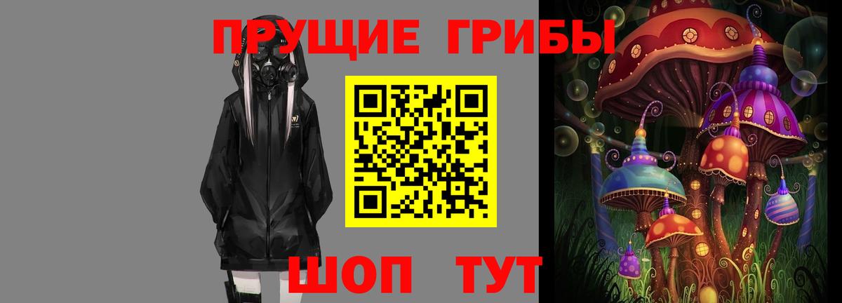 Снежинск  Псилоцибиновые грибы GOLDEN TEACHER  Вход с VPN 